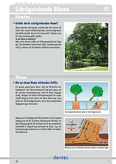 Baum-Check Beispielseite zur Grundlagenvermittlung