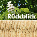 Rückblick Baum- und Bodenseminar Jena 2018, Workshop Bohrwiderstandsmessung